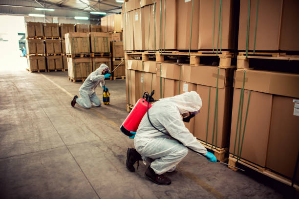 Best Flea Control Services  in Palmer, AK